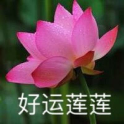 【展会回顾】 华汉伟业精彩亮相2024华南国...